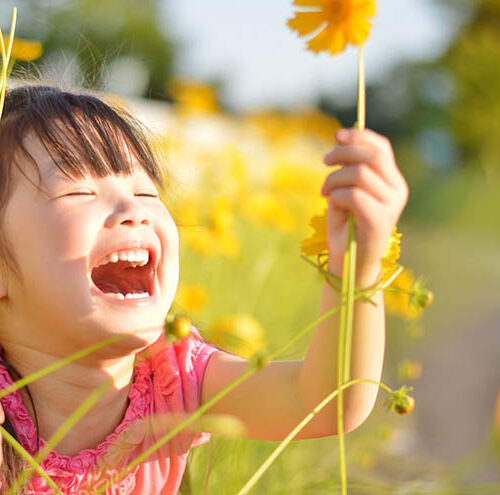 各施設からの声