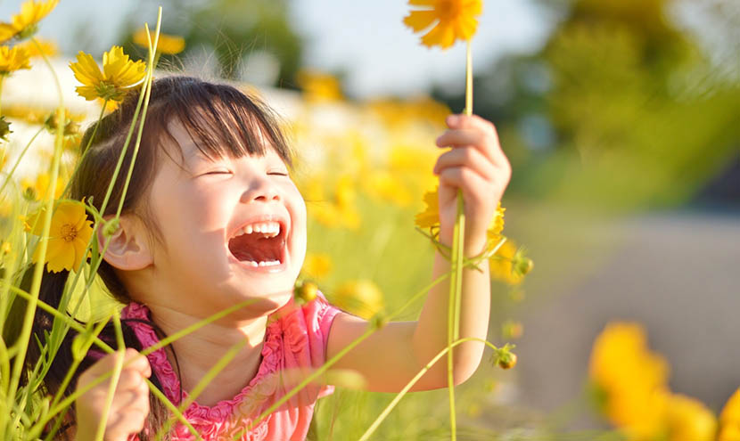 各施設からの声