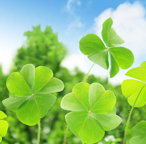 これまでの地域貢献活動など