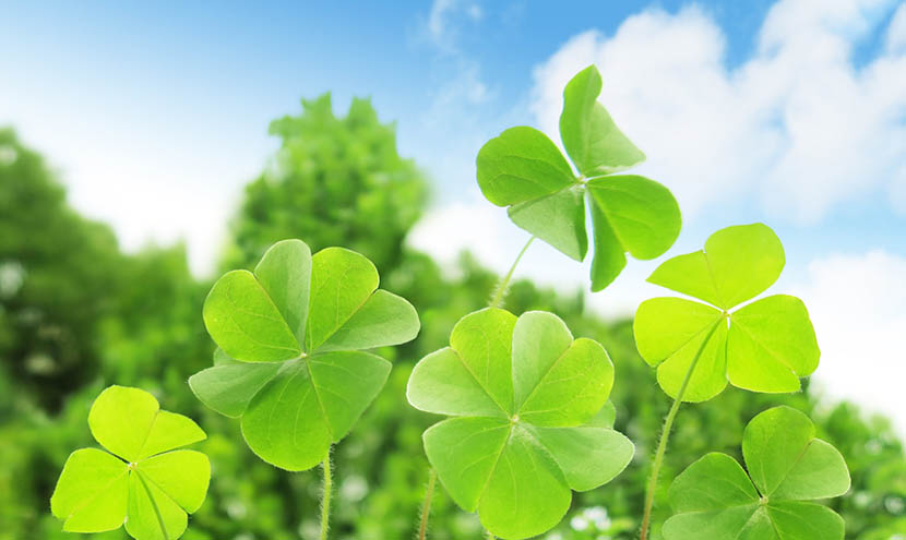 これまでの地域貢献活動など